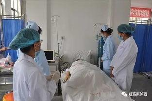 中心医院吃瓜事件,真相揭秘与公众反响