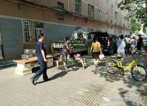 惠州东街吃瓜事件真相,揭秘背后真相与反思