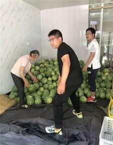 常州新北吃瓜事件视频,一场引发热议的街头冲突纪实