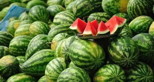 辽宁校园吃瓜事件真相,揭秘真相与反思