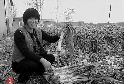 莱芜牛泉吃瓜事件始末,一场误会引发的社区风波