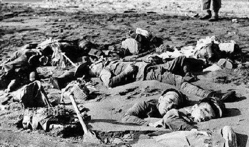 莱芜牛泉吃瓜事件始末,一场误会引发的社区风波