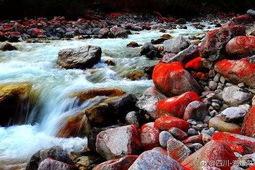 红石公园吃瓜事件视频大全,视频大全揭秘惊人真相