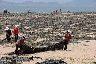 福建渔民吃瓜事件,引发网络热议
