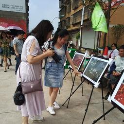 石河子吃瓜群众事件