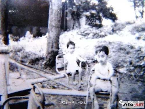 江苏江阴吃瓜事件始末,一场网络热议背后的真相探寻