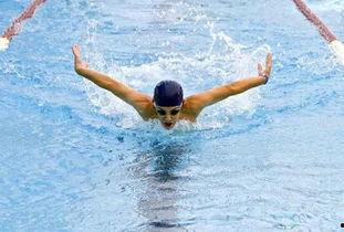 浙江游泳队吃瓜事件真相,揭秘背后真相与反思