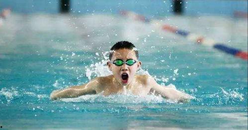 浙江游泳队吃瓜事件真相,揭秘背后真相与反思