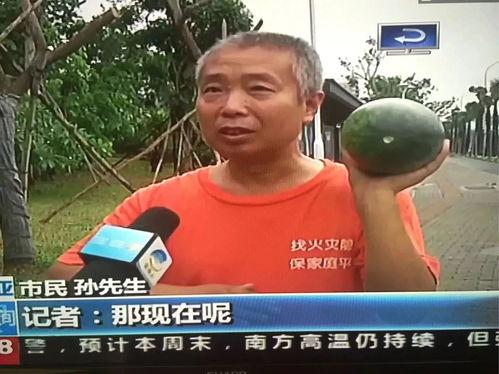 顺德吃瓜事件新闻视频,一场引发热议的网络风波揭秘