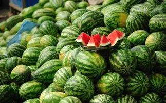 温州瑞安吃瓜事件真相揭秘,真相大白,还原事件始末