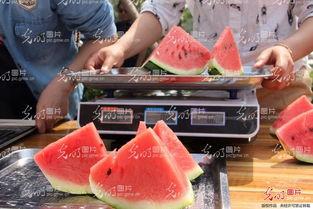 吃瓜事件山东,揭秘背后真相与网络舆论风暴