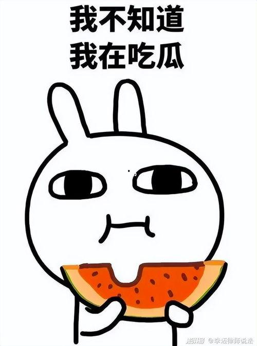 杭州最新吃瓜事件,揭秘网络热议背后的真相与争议