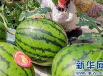 莱芜吃瓜事件视频最新消息