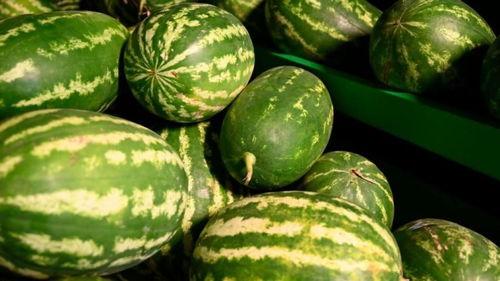 禹城网红吃瓜事件,揭秘网络舆论的风暴与真相