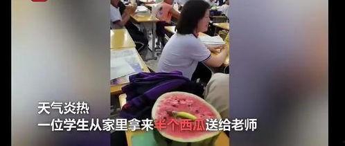 定远教师吃瓜事件视频,一场校园风波引发的思考