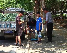 西宁最新吃瓜群众事件,网络热议背后的真相与反思