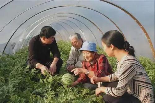 新疆高清吃瓜事件视频