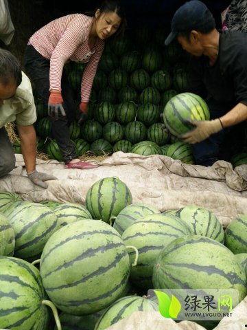 山东吃瓜最新办公司事件,揭秘神秘政府机构背后的真相