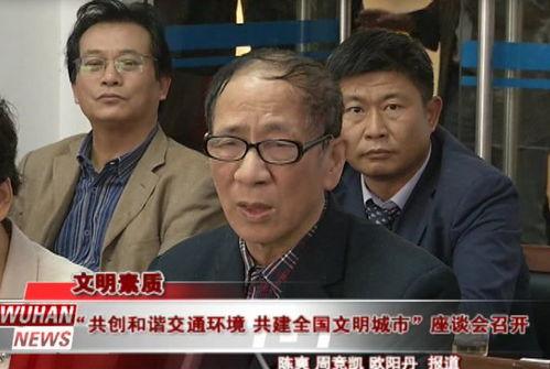 陈主任吃瓜群众事件视频,网络舆论场上的风波与反思