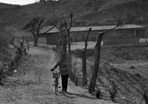 道口铺吃瓜事件始末,一场网络舆论的风暴与反思