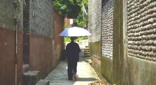 江苏张家港最新吃瓜事件,揭秘网络热议背后的真相